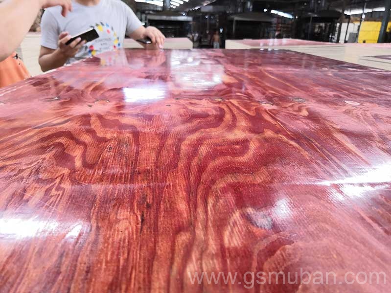 2025年建筑模板市場分析：機遇與挑戰并存！